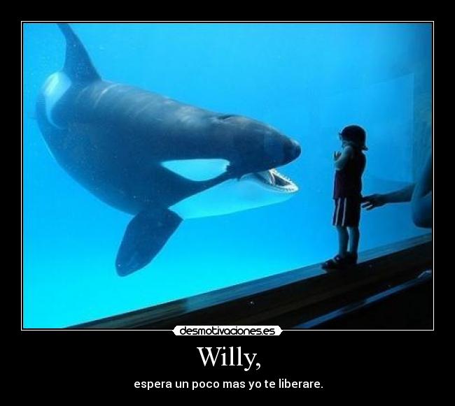 Willy, - 