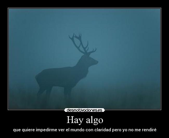 Hay algo - 