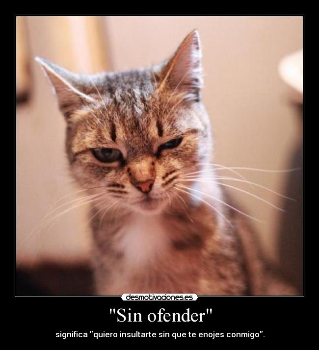 Sin ofender - significa quiero insultarte sin que te enojes conmigo.