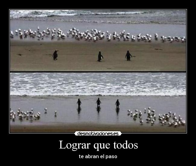 Lograr que todos - te abran el paso