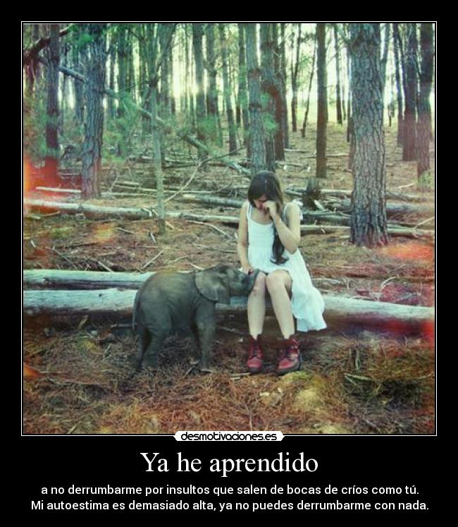 Ya he aprendido - a no derrumbarme por insultos que salen de bocas de críos como tú.
Mi autoestima es demasiado alta, ya no puedes derrumbarme con nada.