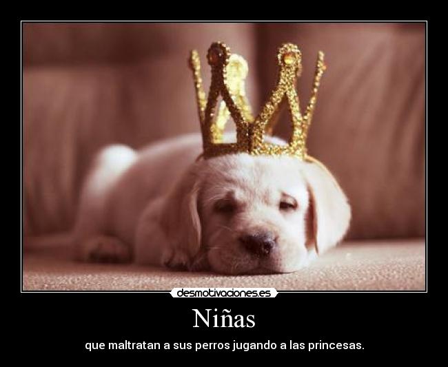 Niñas - que maltratan a sus perros jugando a las princesas.