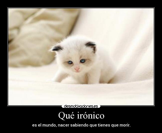 Qué irónico - es el mundo, nacer sabiendo que tienes que morir.