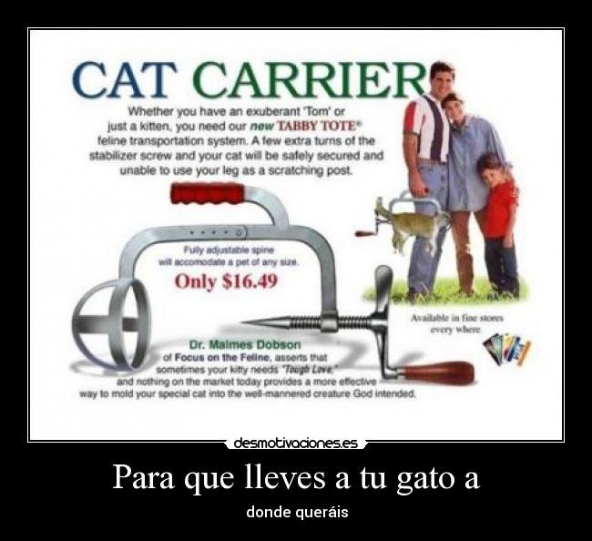 carteles gato desmotivaciones