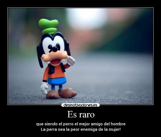 Es raro - que siendo el perro el mejor amigo del hombre
La perra sea la peor enemiga de la mujer!