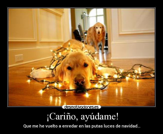 ¡Cariño, ayúdame! -