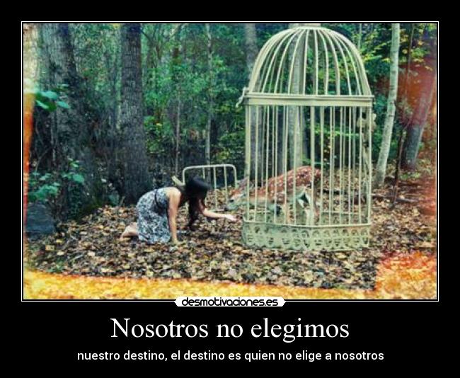 Nosotros no elegimos -
