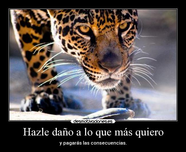 Hazle daño a lo que más quiero - 