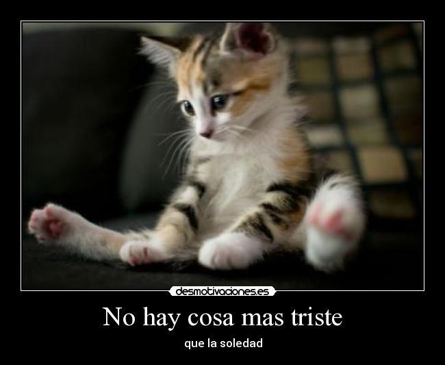 No hay cosa mas triste - que la soledad
