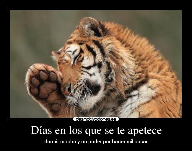 Días en los que se te apetece - 