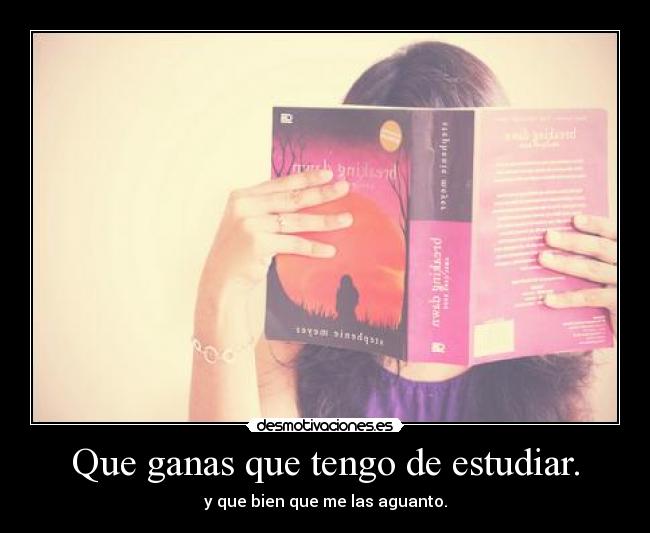carteles queganasquetengodeestudiaryquebienmelasaguanto desmotivaciones