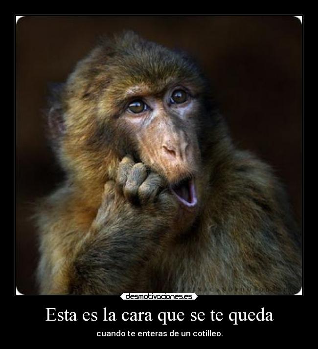 Esta es la cara que se te queda -