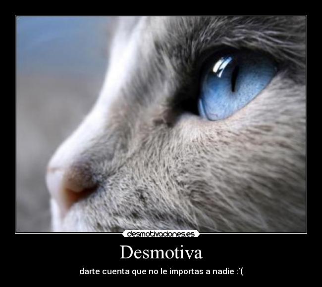 Desmotiva - 