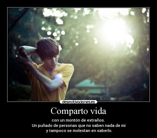 Comparto vida - con un montón de extraños. 
Un puñado de personas que no saben nada de mi
 y tampoco se molestan en saberlo.