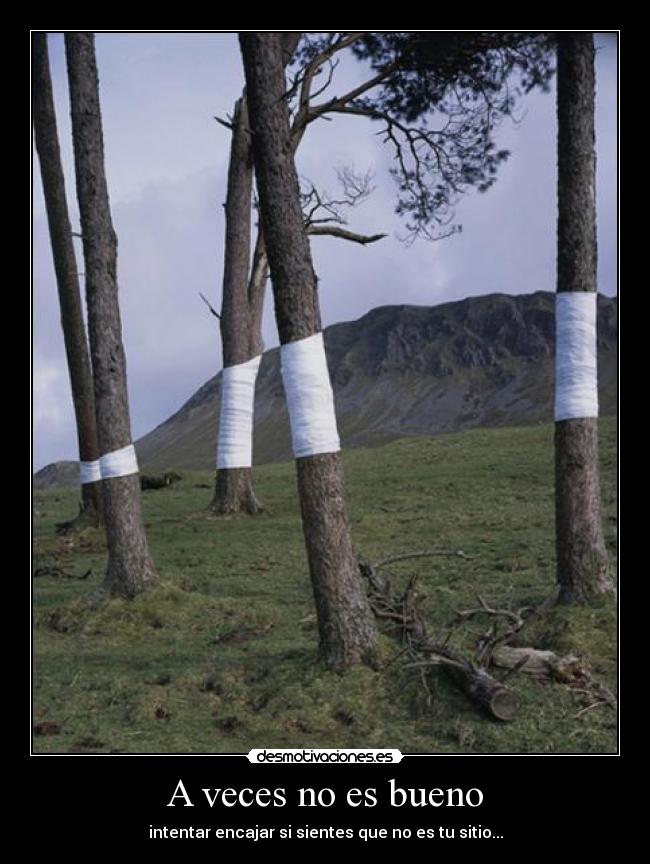 A veces no es bueno - intentar encajar si sientes que no es tu sitio...