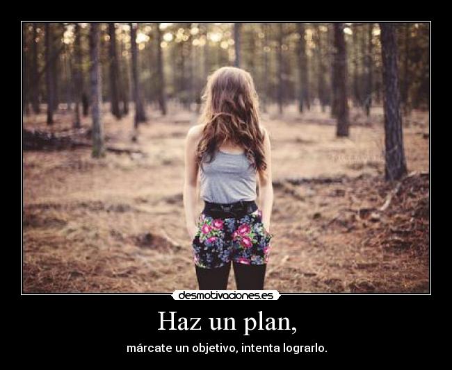 Haz un plan, - márcate un objetivo, intenta lograrlo.