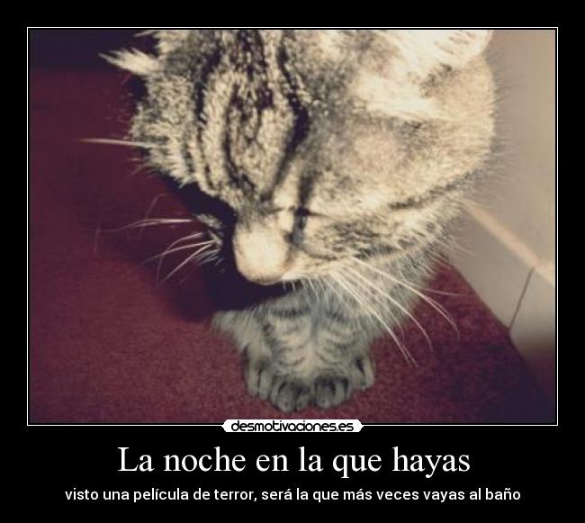 La noche en la que hayas - visto una película de terror, será la que más veces vayas al baño