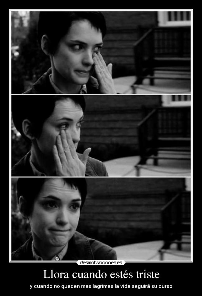 carteles miau desmotivaciones