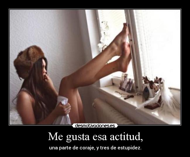 Me gusta esa actitud, - una parte de coraje, y tres de estupidez.