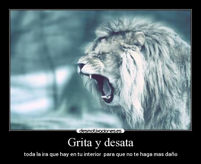 Grita y desata - 