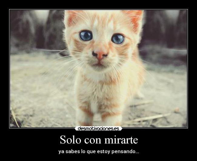 Solo con mirarte - ya sabes lo que estoy pensando...