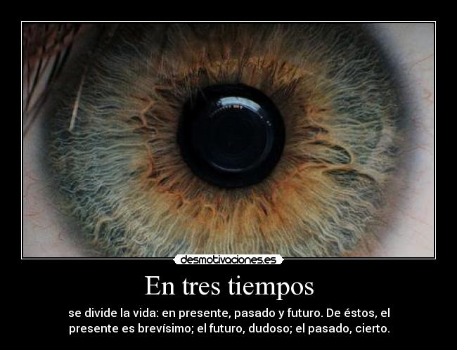 carteles mis verdades desmotivaciones