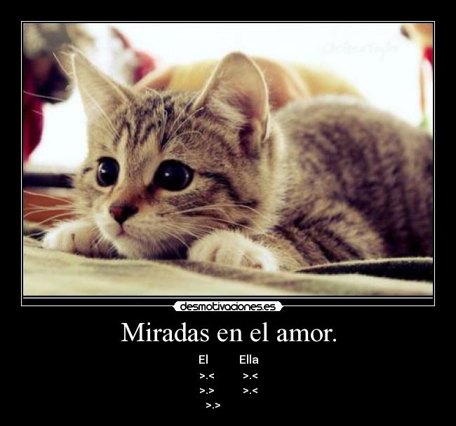 Miradas en el amor. - 