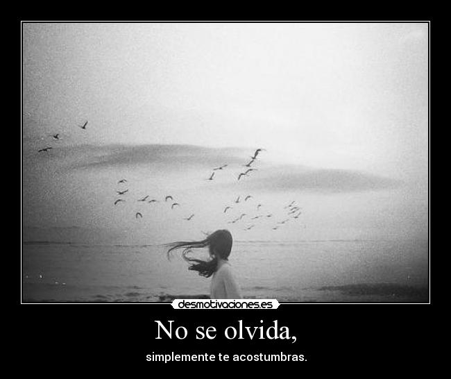 No se olvida, -
