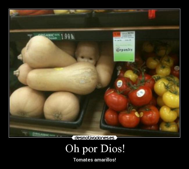 Oh por Dios! - Tomates amarillos!