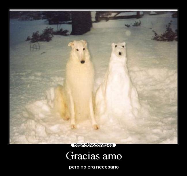 Gracias amo - pero no era necesario