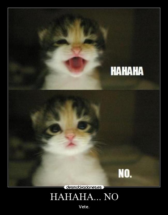 carteles xdddddddddddddddddddddddddddddddddd desmotivaciones