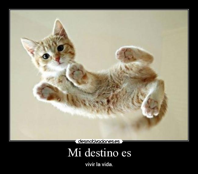 Mi destino es - vivir la vida.