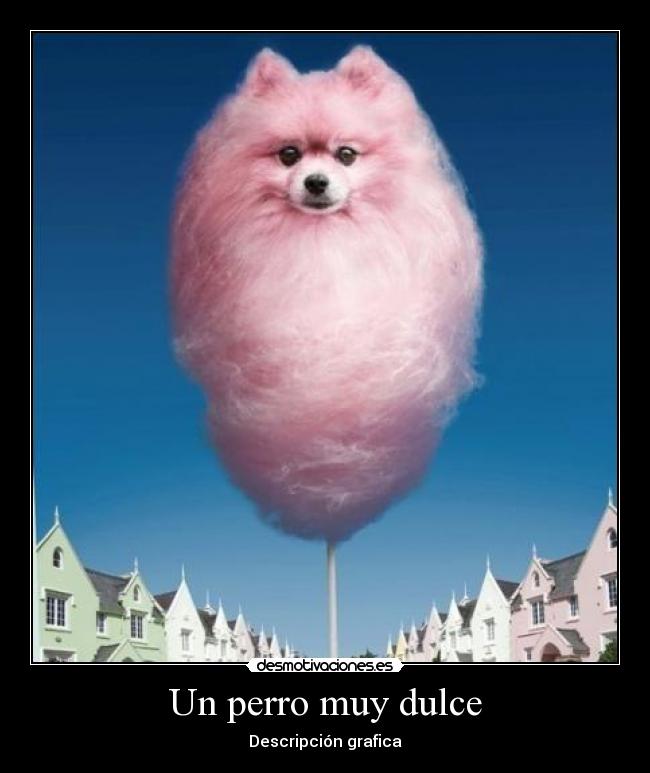 Un perro muy dulce - Descripción grafica
