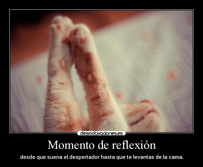 Momento de reflexión - desde que suena el despertador hasta que te levantas de la cama.