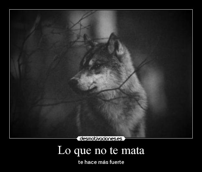 Lo que no te mata - te hace más fuerte