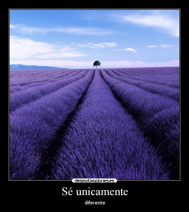 Sé unicamente - 