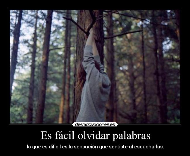 Es fácil olvidar palabras - lo que es dificil es la sensación que sentiste al escucharlas.