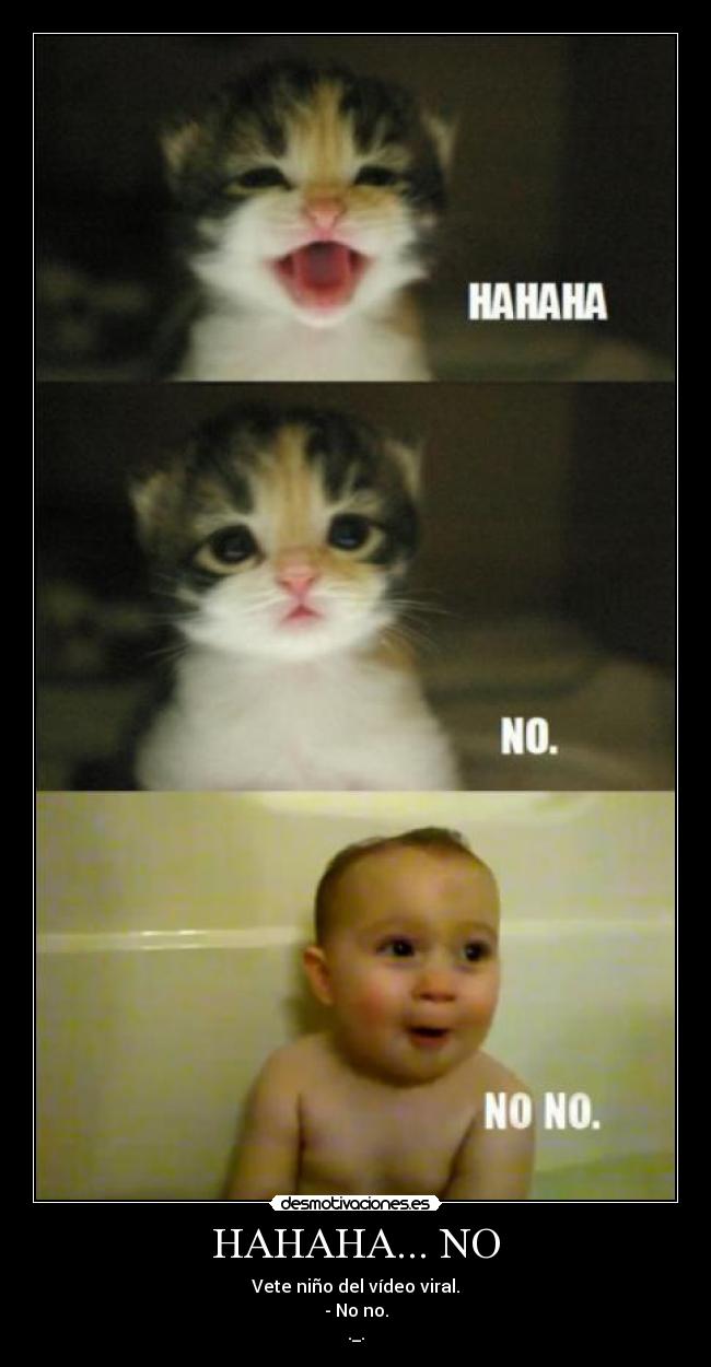 carteles xdddddddddddddddddddddddddddddddddd desmotivaciones