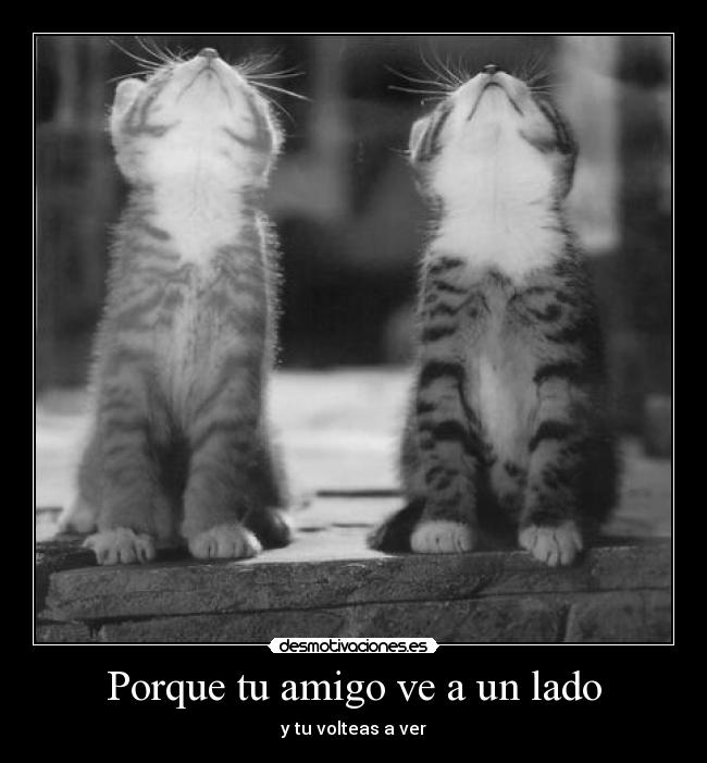 Porque tu amigo ve a un lado - y tu volteas a ver