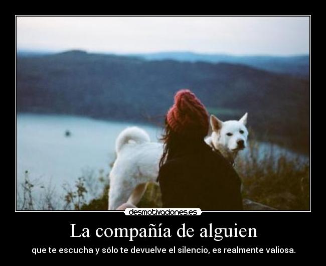 La compañía de alguien - 