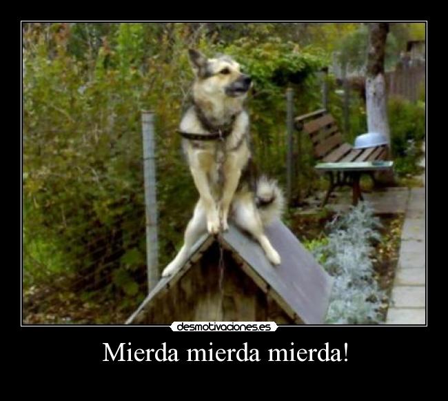 Mierda mierda mierda! - 