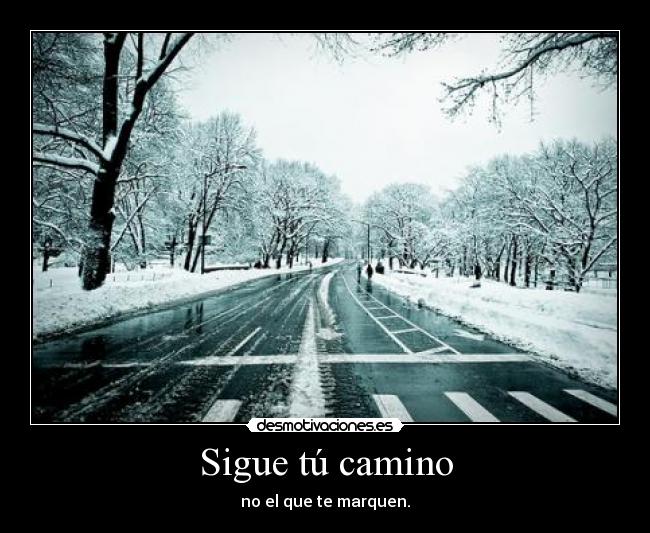 Sigue tú camino -