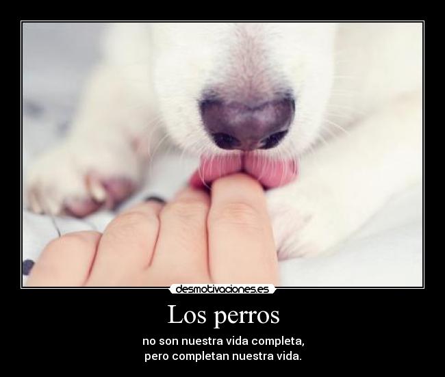Los perros -