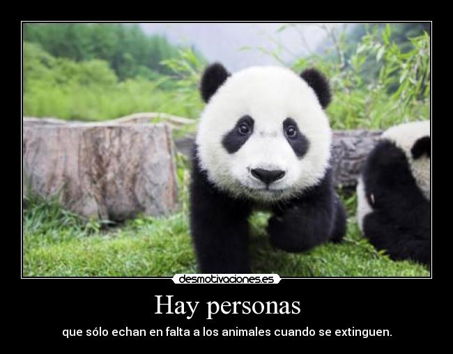 Hay personas - que sólo echan en falta a los animales cuando se extinguen.