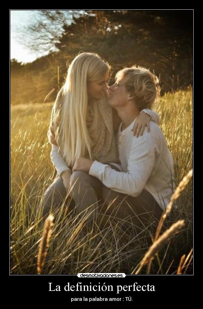 carteles definicion perfecta desmotivaciones