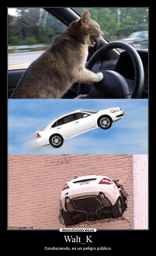 Walt_K - Conduciendo, es un peligro público.
