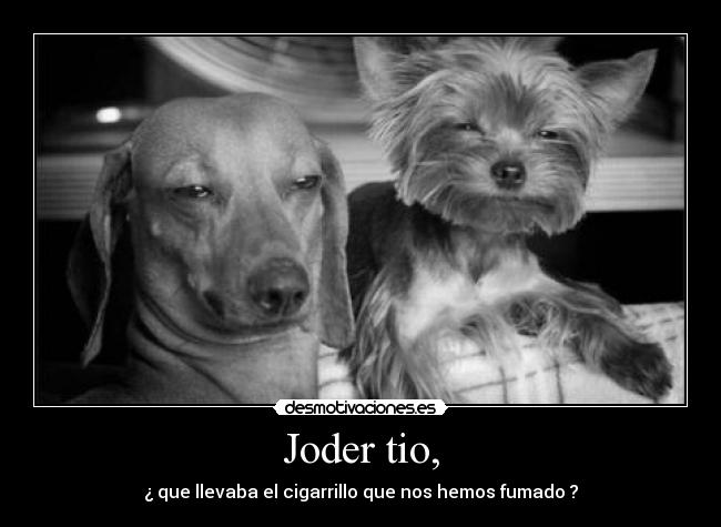 carteles borjaabraham humor desmotivaciones