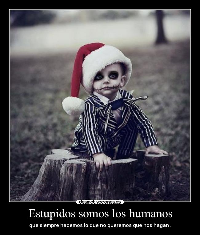 Estupidos somos los humanos -