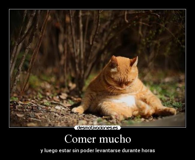 Comer mucho - y luego estar sin poder levantarse durante horas