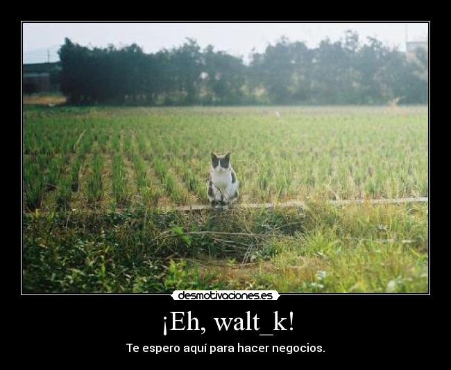 ¡Eh, walt_k! - Te espero aquí para hacer negocios.